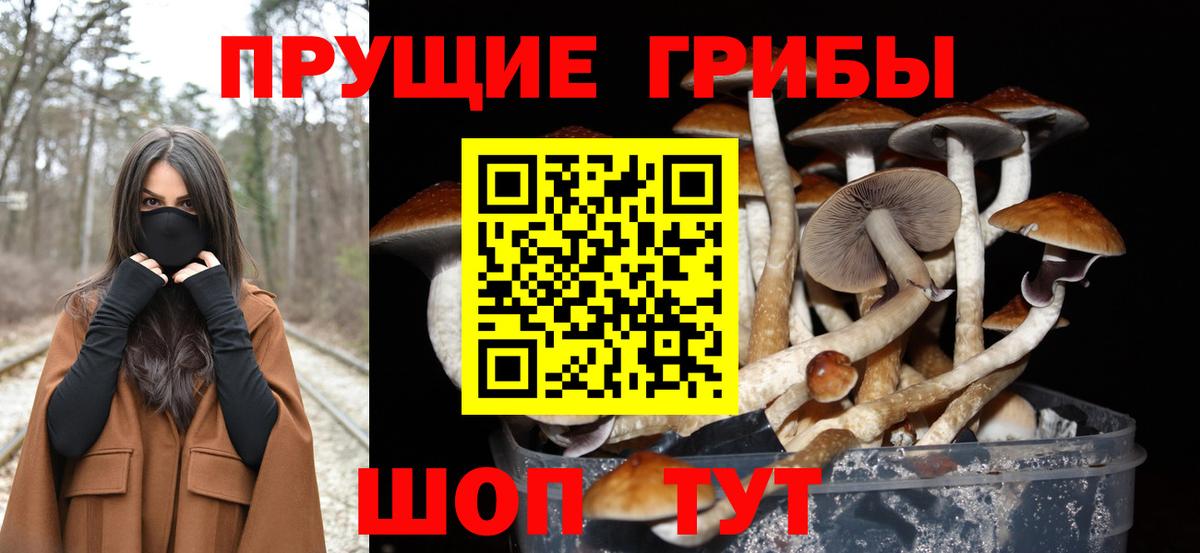 Галлюциногенные грибы Cubensis Казань